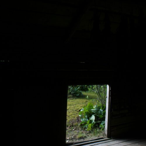 Black space with a small window looking out to a garden